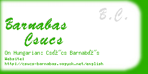 barnabas csucs business card